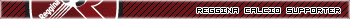 Reggina Calcio (italy) supporter