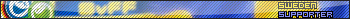 Sweden supporter