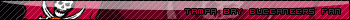 tampa bay buccaneers fan - nfl