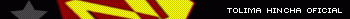 Deportes Tolima Estatico