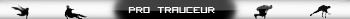 Pro Trauceur