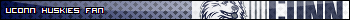 UConn Huskies Fan
