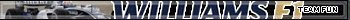 WilliamsF1 Team Fun