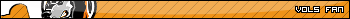 Tennessee Volunteers