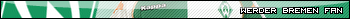 Werder Bremen Fan