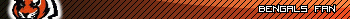 Cincinnati Bengals Fan Userbar