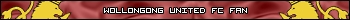 Wollongong United Football Club