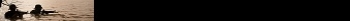 AFK USER