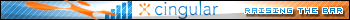 Cingular User