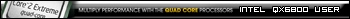 Intel Core 2 Extreme QX6800