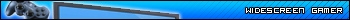 Widescreen Gamer