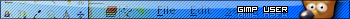 GIMP User