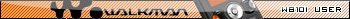 W810i User