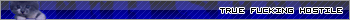 tfh_site