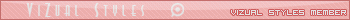 Vizual Styles Member Bar V3