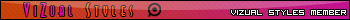 Vizual Styles Member Bar
