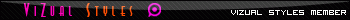 Vizual Styles Member Bar V2