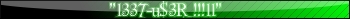 1337 user