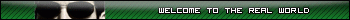 Matrix