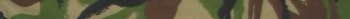 DPM User