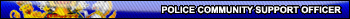 Police CSO
