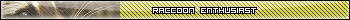 raccoon