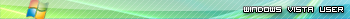 Windows Vista User