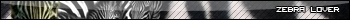 Zebra Lover