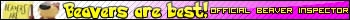 Beaver Inspector