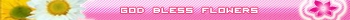 God Bless Flowers (v2.0)