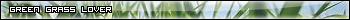 Green Grass