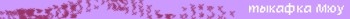 miuS name