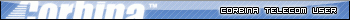 Corbina Telecom User