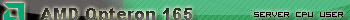 AMD Opteron 165 (Final Version)