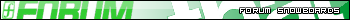Forum Snowboards