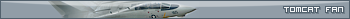 Tomcat Fan