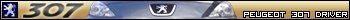 Peugeot 307 Driver