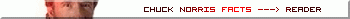 CHUCK NORRIS 2