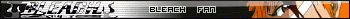 Bleach_2