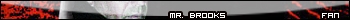 Mr. Brooks