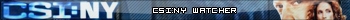 CSI:NY