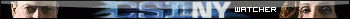 CSI NY Watcher