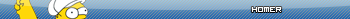 Homer UserBar