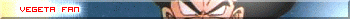 VEGETA_003 FAN
