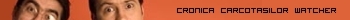 Cronica Carcotasilor