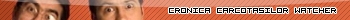 Cronica Carcotasilor v2