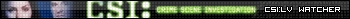 CSI:Las Vegas userbar