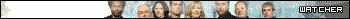 CSI watcher animated