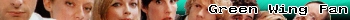 Green wing fan