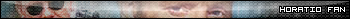 Horatio Caine[CSI Miami]